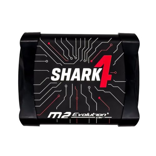 shark-top